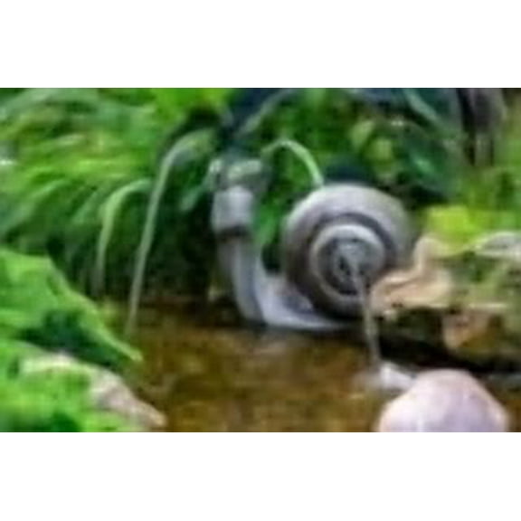 Aquascape Silly Snail Spitter/Fountain