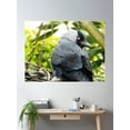 thumbnail image 2 of Jackdaw Poster Wall Art, Modern Wall Decor For Living Room Bedroom, 12x18 UNFRAMED, 2 of 3