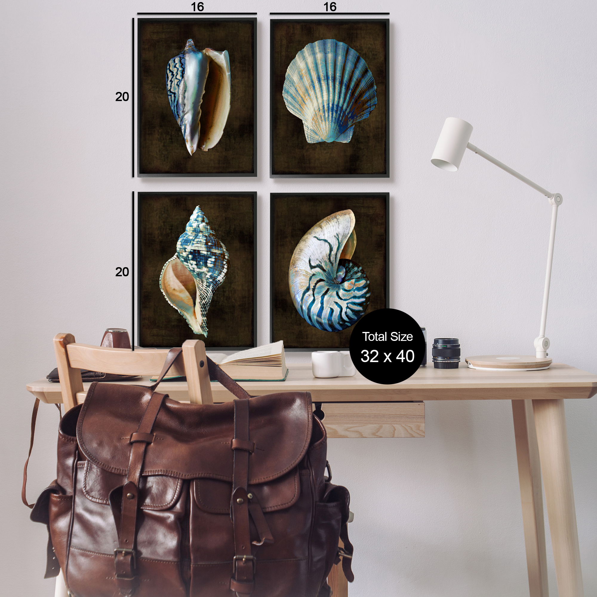 Stupell Industries Seashells on Black Animals & Insects Painting Black Framed Art Print Wall Art, 16 x 20, Set of 4