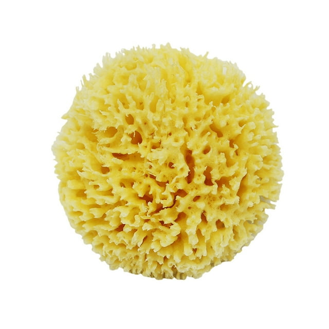 Naiovety Esponja de mar natural respetuosa con la piel para una amplia aplicación Esponjas de mar naturales para bañar la esponja griega Juegos de accesorios de baño