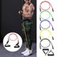 thumbnail image 3 of 11pcs Resistance Bands Set Workout Fitness Exercise Tube Bands Door Anchor Ankle Straps Cushioned Handles with Carry Bags for Home Gym Travel, 3 of 5