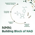 thumbnail image 5 of NMN Supplement - β-Nicotinamide Mononucleotide (NMN) 500 mg Per Serving - Pure NMN Formula - NAD+ Precursor Supplement - Cellular Energy & NAD Support - Vegan Capsules - Bottled in USA - 60 Capsules, 5 of 9