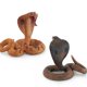 thumbnail image 4 of Simulación de serpiente, modelo de reptil salvaje, figuras de acción de animales realistas, adorno estático, decoración, regalos, 4 of 4
