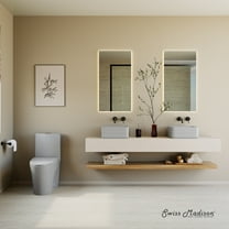 St. Tropez One-Piece Elongated Toilet Vortexâ„¢ Dual-Flush 1.1/1.6 gpf in Matte Gray