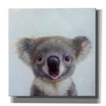 Epic Graffiti 'Lil Koala' by Lucia Heffernan, Canvas Wall Art, 37"x37"
