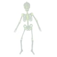 thumbnail image 2 of Luminous Skeleton Horror Halloween Prop interior y exterior Patio Decoración Los 32x6cm, 2 of 9