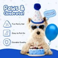 thumbnail image 4 of Pacific Pups Dog Birthday Party Supplies: Dog Bandanas, Girl Dog Birthday Hat, Birthday Dog Toy - Blue Paws, 4 of 8