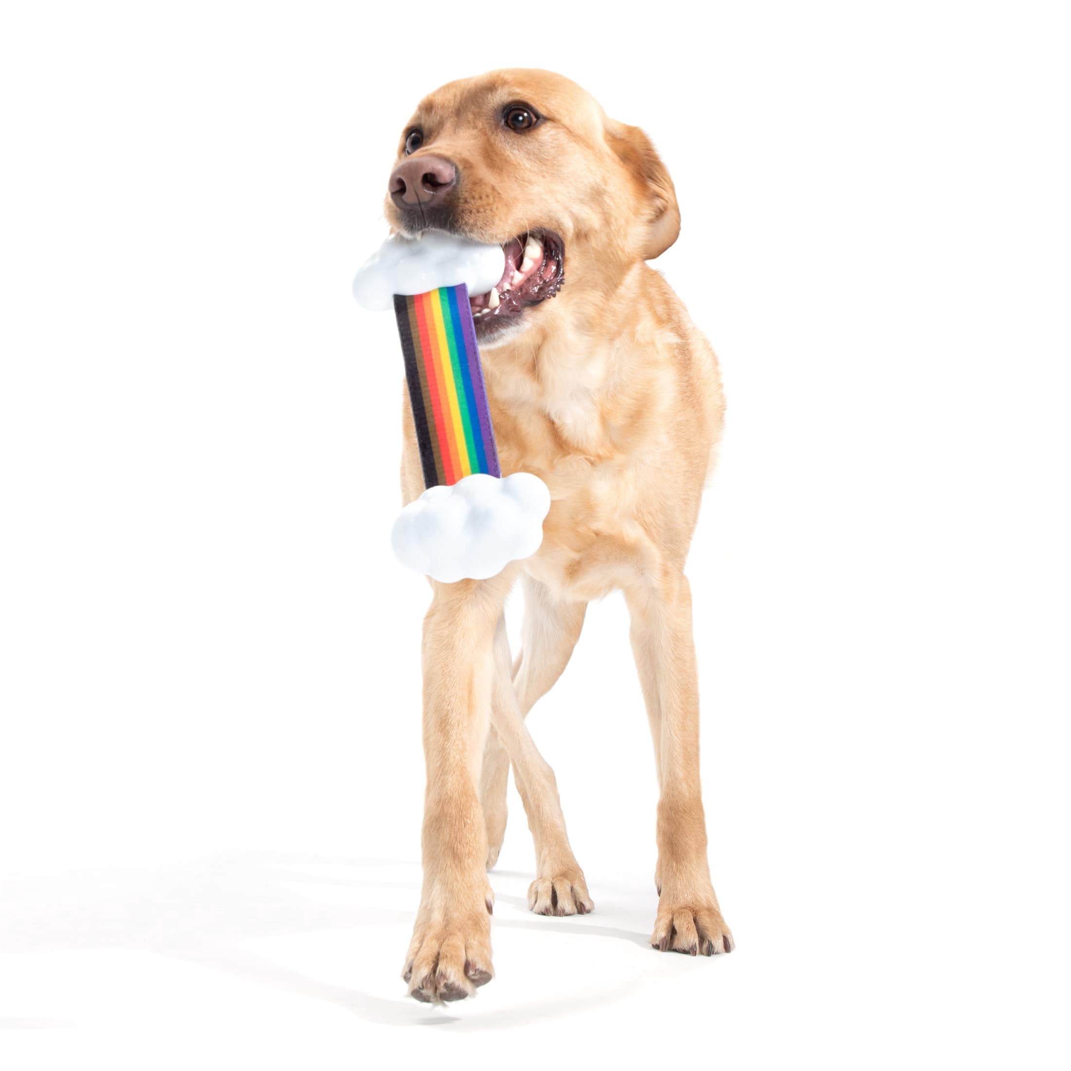 BARK Super Chewer Rainbow Tug Durable Small Dog Toy