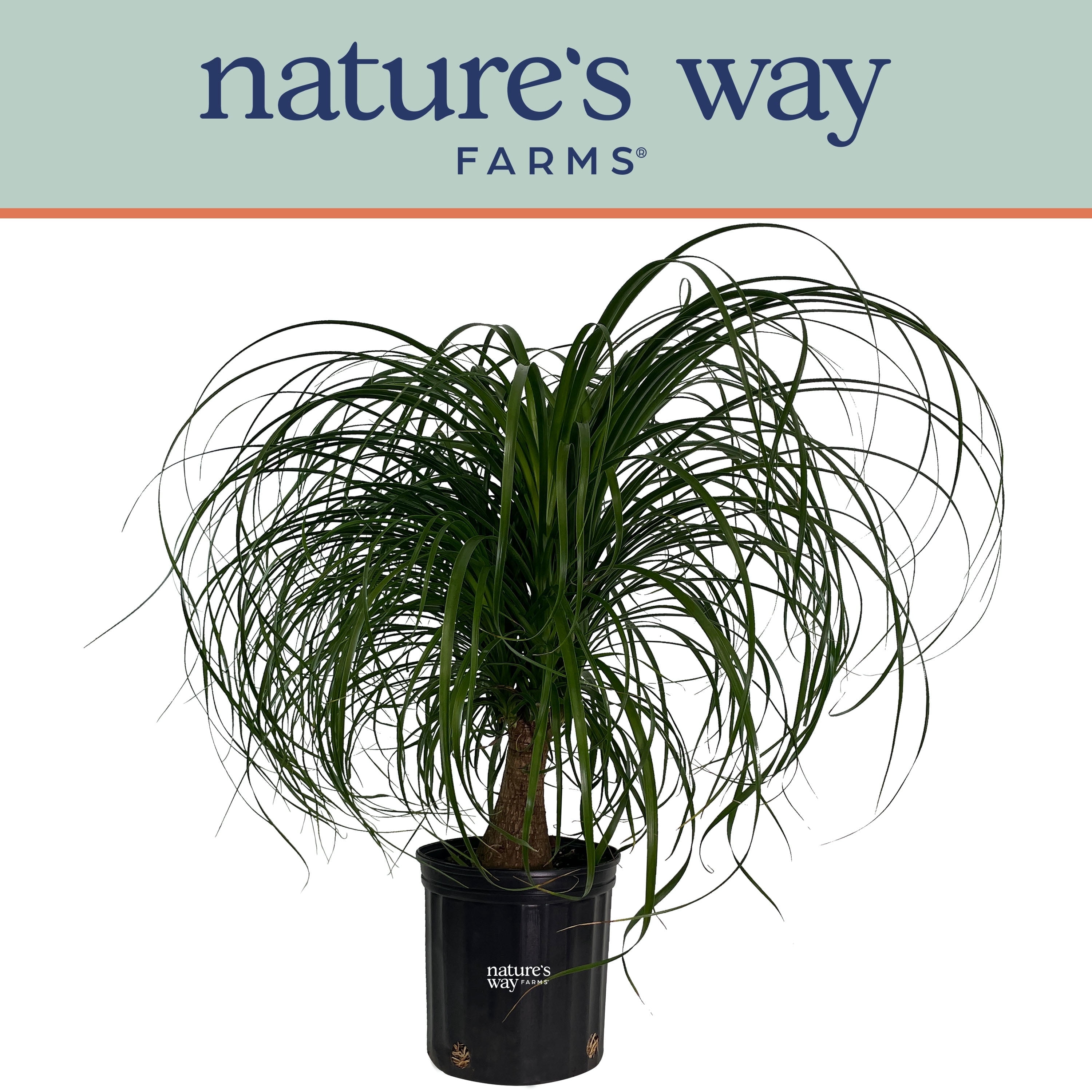 large hanging plant pots Ferm Living - Speckle Hanging Pot - Large