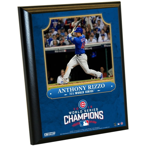 Champions du Monde de la Série Chicago 2016 Anthony Rizzo 8x10 Plaque