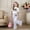 F-1157Light Gray, variant on ZHOGXU Big Kids Girls Outfit Bow Printed Short Sleeve Round Neck Top And Flare Leg Pants Two Piece Comfortable Fashion Sets For Daily Wear Brick Red 9-10 Years