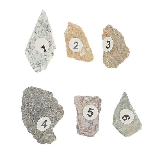 GOOHOCHY 1 conjunto de piedras de piedra piedras minerales de muestra de muestra de enseña de muestra muestras para la escuela