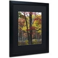 thumbnail image 2 of Trademark Fine Art "Incredible Shades of Autumn" Canvas Art by Kurt Shaffer, Black Matte, Black Frame, 2 of 4