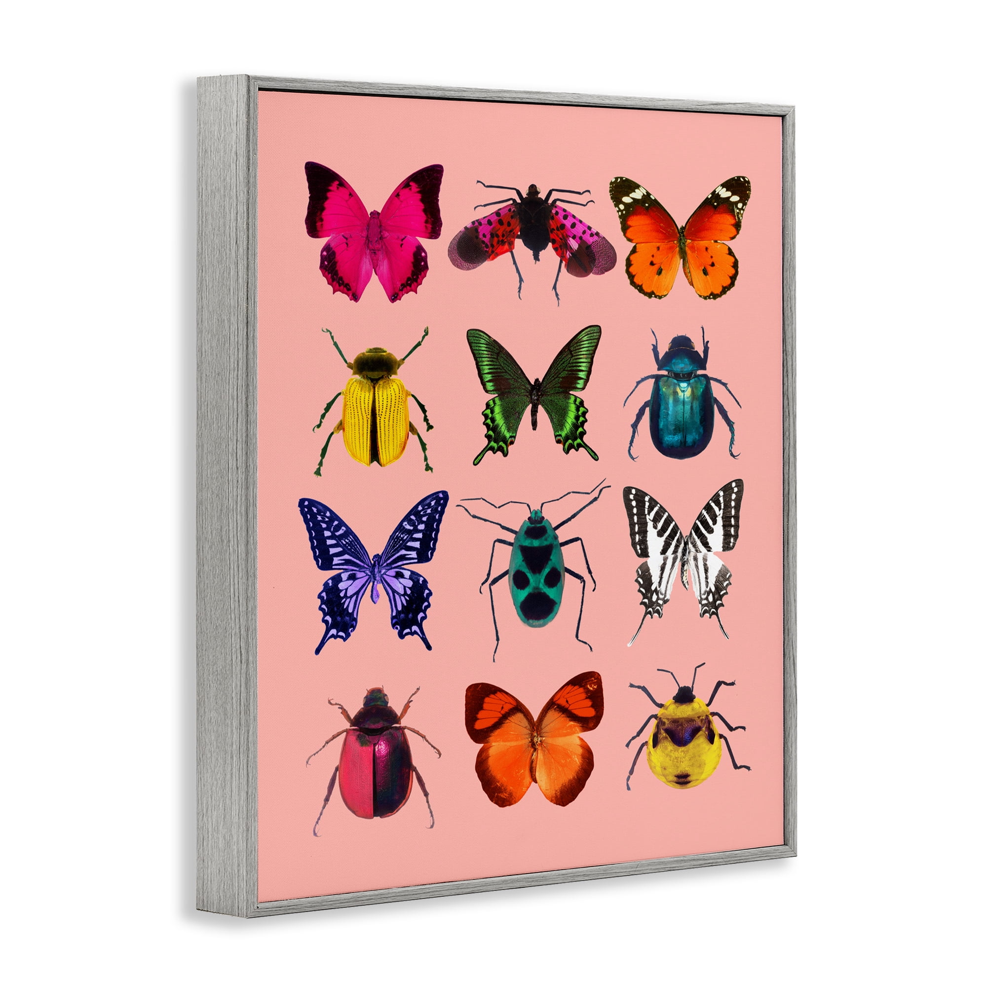 Colorful Bug Species on Pink Gray Framed Giclee Art, design by LISH Creative