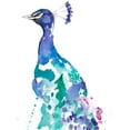 thumbnail image 3 of Goldberger, Jennifer 19x24 Black Modern Framed Museum Art Print Titled - Peacock Splash II, 3 of 5
