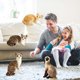 thumbnail image 3 of Peluches de tigre, Peluches, Peluches realistas, Gatitos, Lindos peluches para niños, Mascotas, 3 of 5