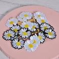 thumbnail image 5 of Tebru Embroidery Patches, 20 Daisy Flower Embroidered Iron Patches On Patches For Clothing Jackets, And Clothing Backpacks, 5 of 8