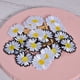 thumbnail image 1 of Apliques bordados, parches para ropa con flores de margaritas, parches para ropa, calcomanías para ropa, máxima comodidad, 1 of 9