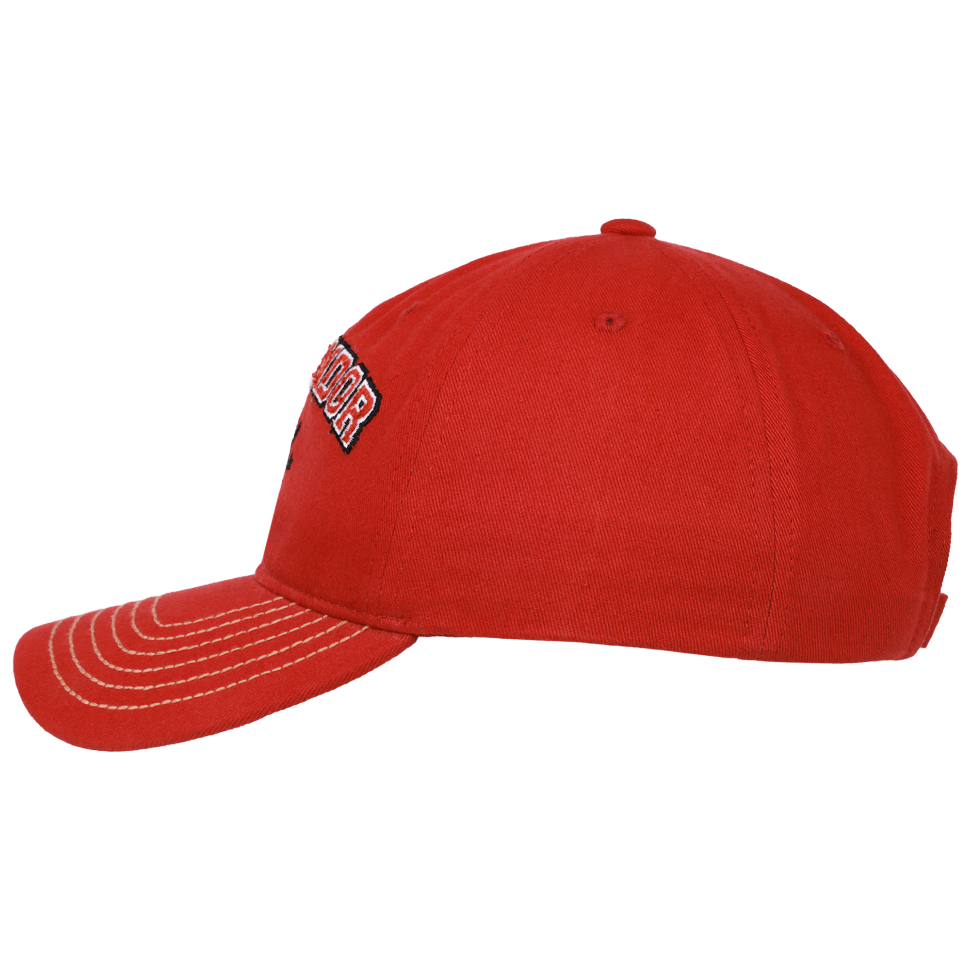 Harry Potter Baseball Cap, Gryffindor Dad Hat with Curved Brim, Red, One Size