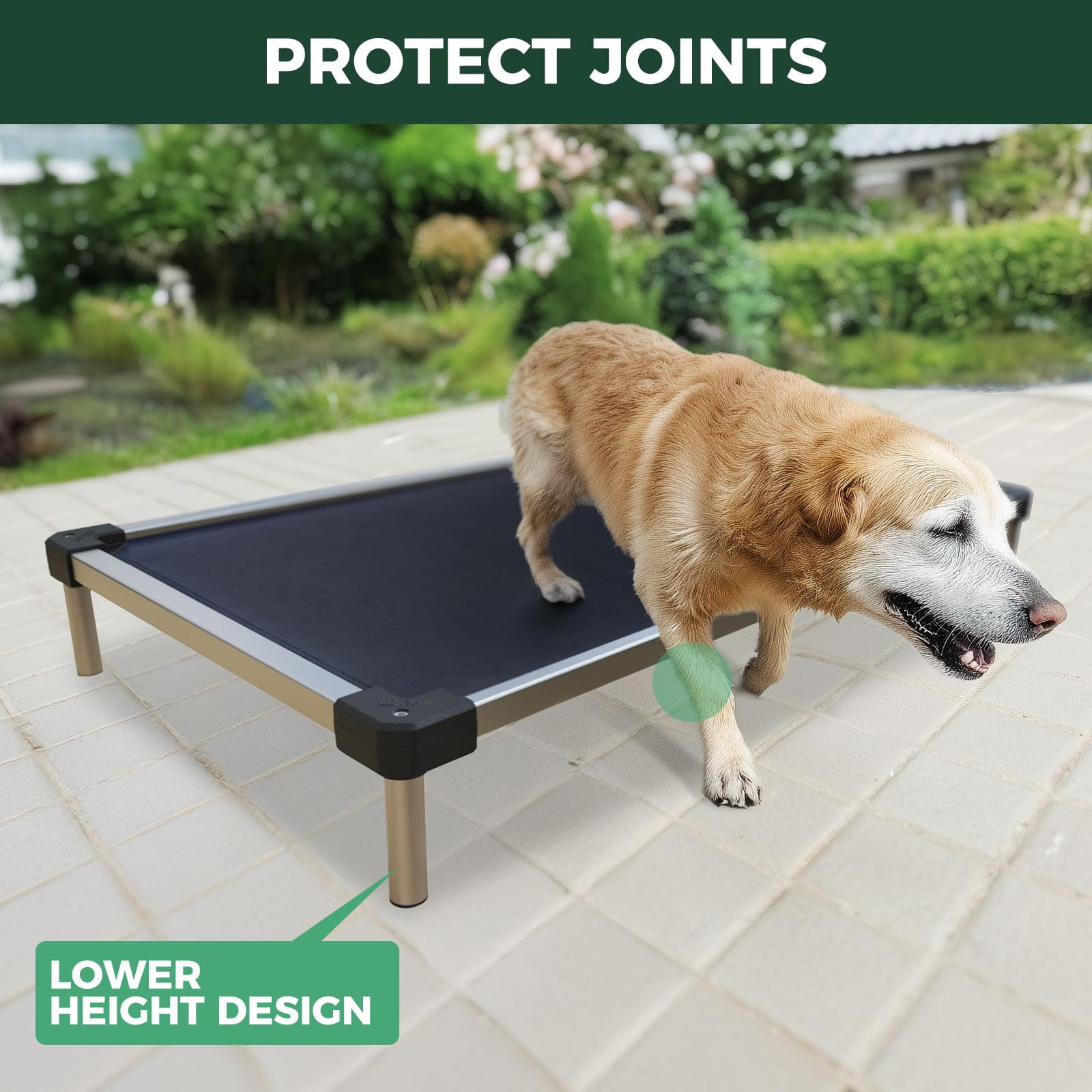 FXW TitanNest Chew-Proof Elevated Dog Bed, Raised Cot for Indoor/Outdoor/Camping Use, Durable & Waterproof Cooling Pet Bed for Extra Large Dogs, 56.0"L x 31.0"W x 7.3"H, Black