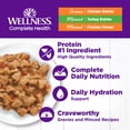 thumbnail image 3 of Wellness Complete Health Gravy & Minced Adult Wet Cat Food, Natural, Protein-Rich, Grain Free, 3 Ounce , 24 Pack, (Chicken & Turkey Lovers Variety Pack), 3 of 8
