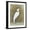 Black Frame, variant on Art.com White Egret II Art Print by Tim OToole, 18" x 24"