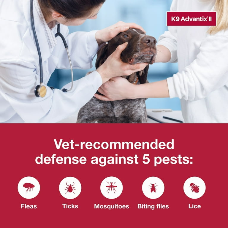 K9 Advantix II Monthly Flea Tick Prevention for XL Dogs 55 lbs 6 Monthly Treatments