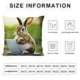thumbnail image 5 of SHERONV Rabbit Beatrix Potter Laptop Pillow Cover Home Decor 22x22in, 5 of 5