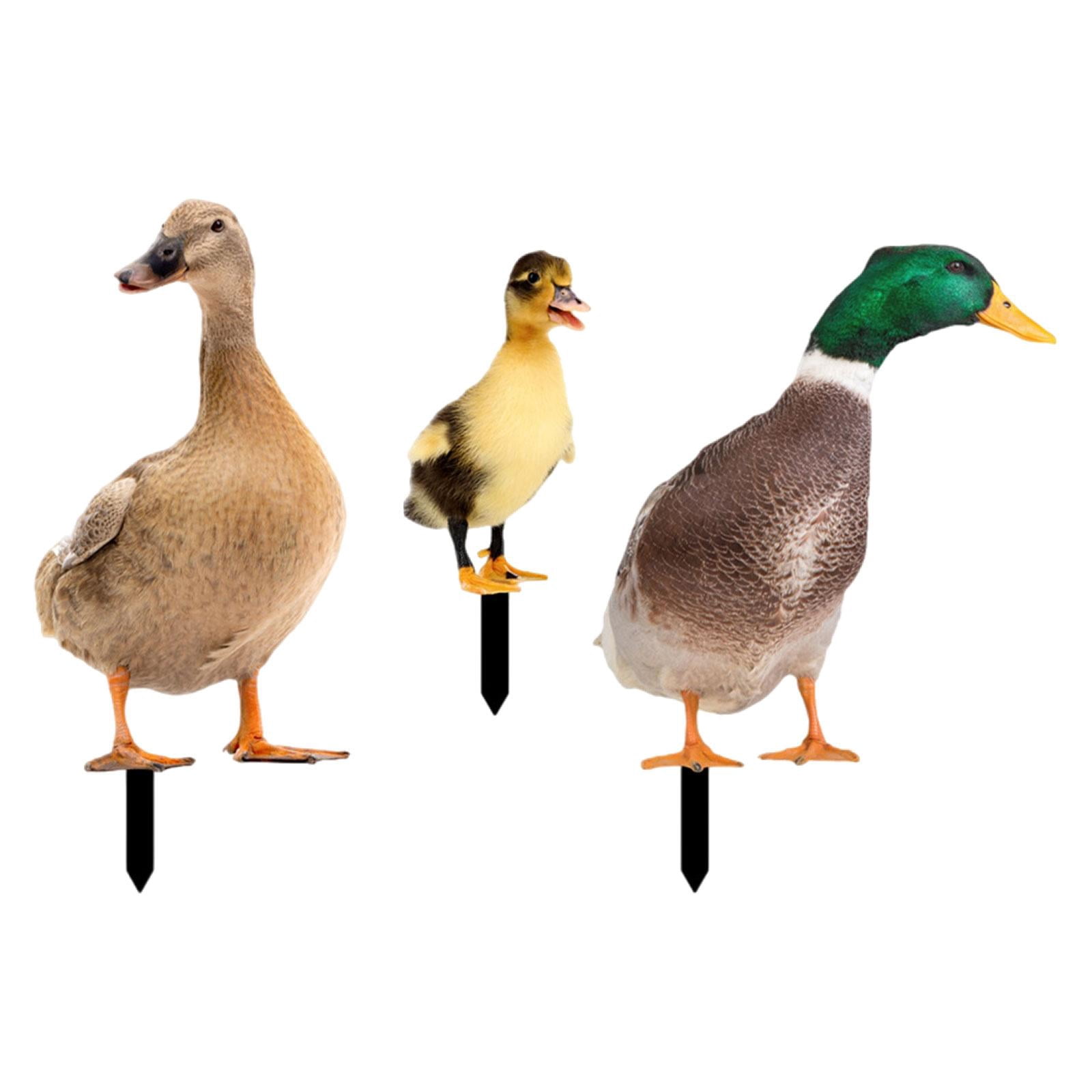 3Pcs Duck Animal Statue Stakes, Garden Stakes Decorative, Floor Decoration Ornaments, Duck Garden Statue for Porch Patio Yard Art Sculpture