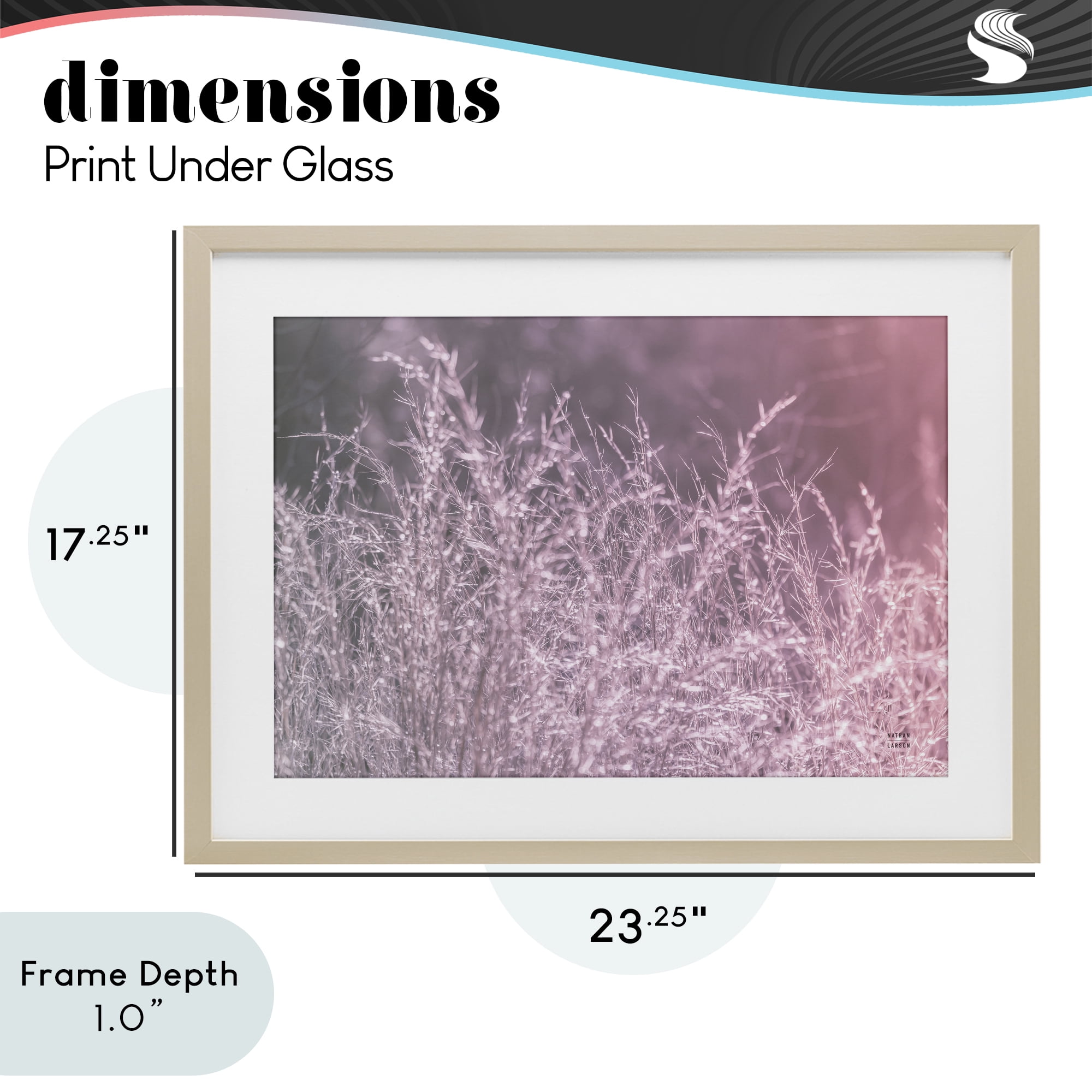 Stupell Industries Pink Morning Gentle Meadow Birch Framed Print Under Glass, design by Nathan Larson