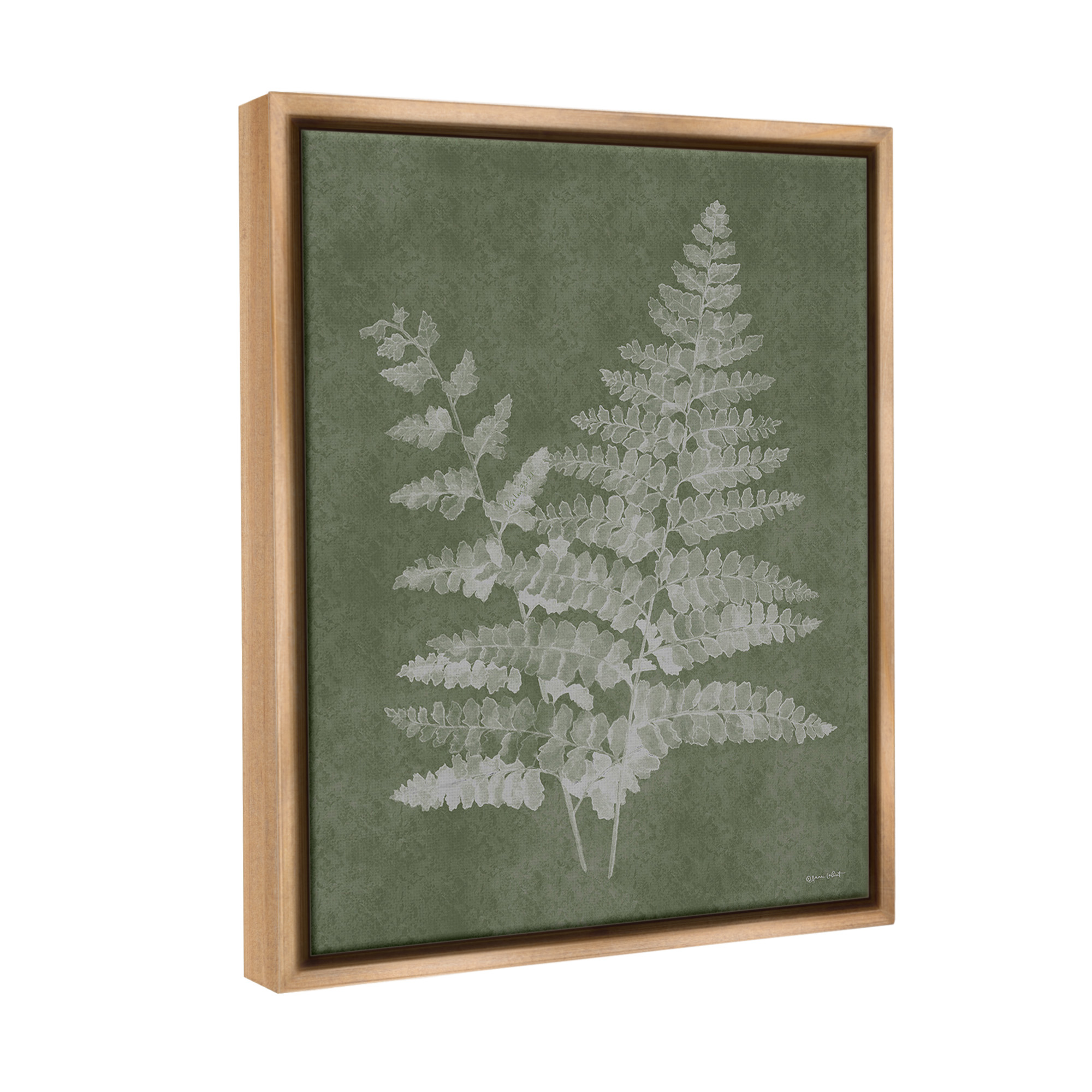 Stupell Industries Green Rustic Ferns Botanical & Floral Painting Brown Floater Framed Canvas Art Print Wall Art, 25 x 31
