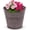 Pebble, variant on Headwind IronLite Ensley – 6" Antique White Decorative Metal Planter with High‑Gloss Embossed Design – Indoor Plant Pot with Drainage Hole & Modern Round Style for Home & Outdoor Use by Robert Allen
