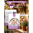thumbnail image 3 of RitualBoxy 6 Varieties 1,500+ Seeds Flower Garden Bulk Pack – Annual Flowers to Attract Butterflies, Other Pollinators – Non-GMO Heirloom Seeds for Planting Outdoor, DIY Home Garden Gift, 3 of 7