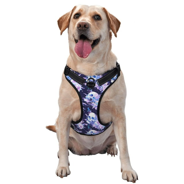 Lsque blue starry sky Skull flower Pattern Dog Harness, No-Pull Pet Harness with 2 Leash Clips, Adjustable Soft Padded Dog Vest with Easy Control Handle for Large Dogs-Large