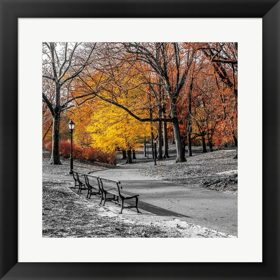 Great Art Now Park Pretty I by Assaf Frank, Framed Wall Art, 19.5W x 19.5H
