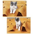 thumbnail image 2 of Alfombrillas para gatos Alfombrillas para adiestramiento de gatos Alfombrilla para adiestramiento de mascotas en interiores Gato, 2 of 8