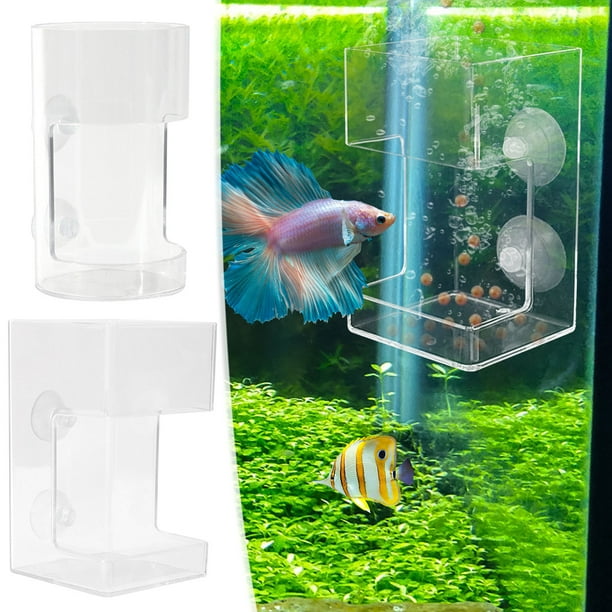Comedero para peces loro: dispensador flotante de alimento para peces con anillo de alimentación suspendido