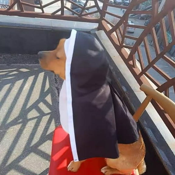 Pet Cat/Dog Nun Costume Clothing- Cute Funny Sister Habit Dress Outfit for Halloween Christmas Festival Cosplay Party (Large)