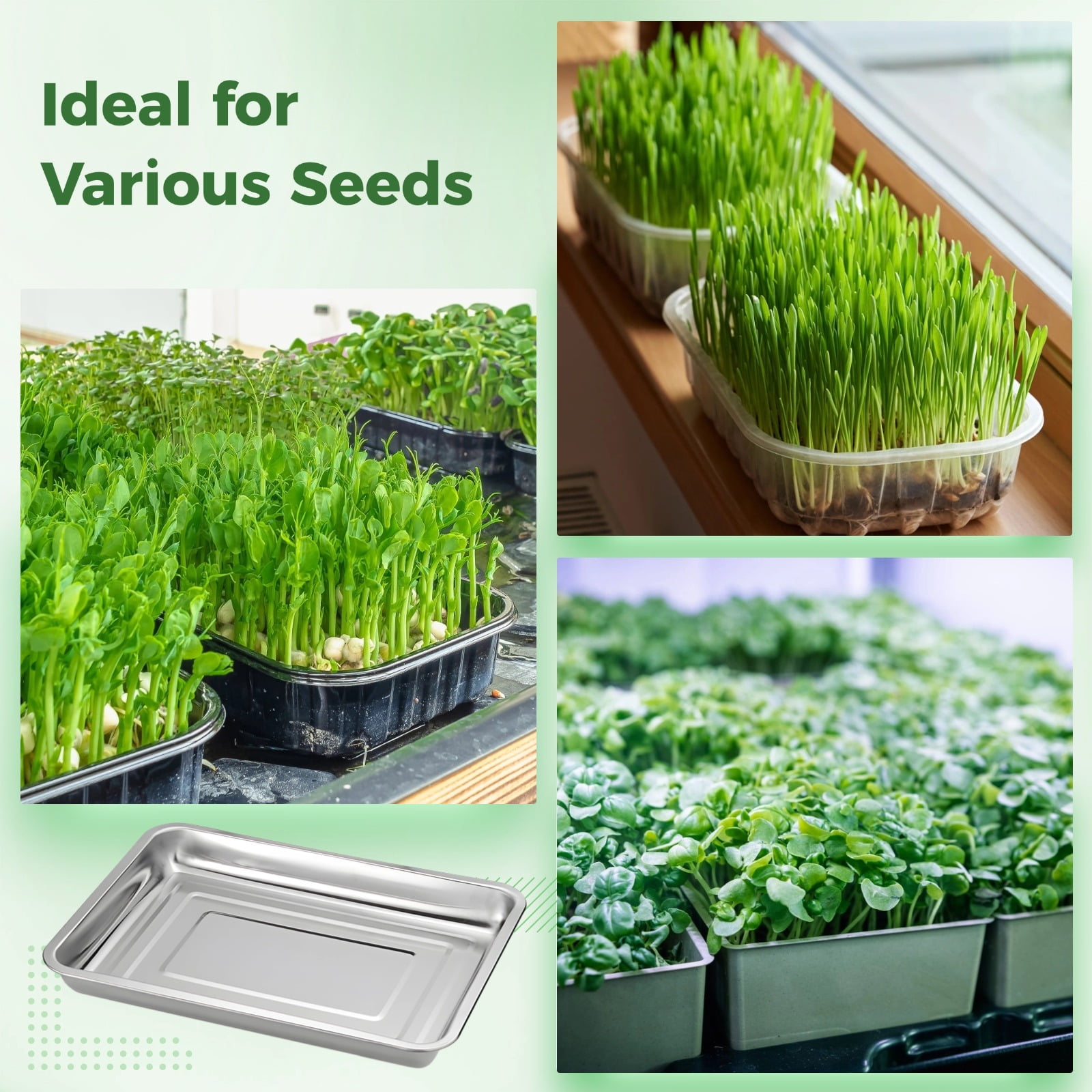 6 Pcs Seed Starter Trays, Stainless Steel Plant Germination Trays, Rectangle Nursery Seedling Pots, Easy-to-Clean Seed Sprouting Trays, Plant Trays for Indoor and Greenhouse Gardening