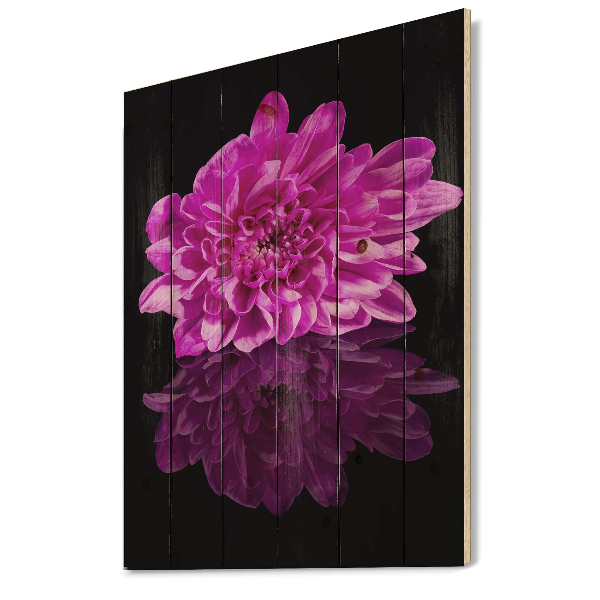 Designart 'Single Purple Chrysanthemum Flower On Black Reflection' Traditional Print on Natural Pine Wood