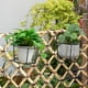 thumbnail image 4 of ColoMX 2 maceteros colgantes redondos con barandilla, cesta de hierro, estante para valla, colgadores de plantas con gancho para balcón, jardín, interior y exterior., 4 of 8