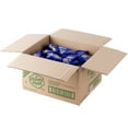 thumbnail image 3 of Nabisco Honey Maid 3-Count (.75 oz.) Honey Maid Honey Graham Crackers Snack Pack - 150/Case, 3 of 4
