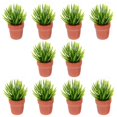 thumbnail image 1 of Garden Miniature House Miniature Potted Plant Ornament Micro Landscaping Plastic Mini Flower Ornament 10Pcs, 1 of 5