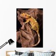 thumbnail image 1 of Crested Gecko Petrified Wood Wall Mural by Wallmonkeys Peel and Stick Graphic (48 in H x 33 in W) WM108164, 1 of 4
