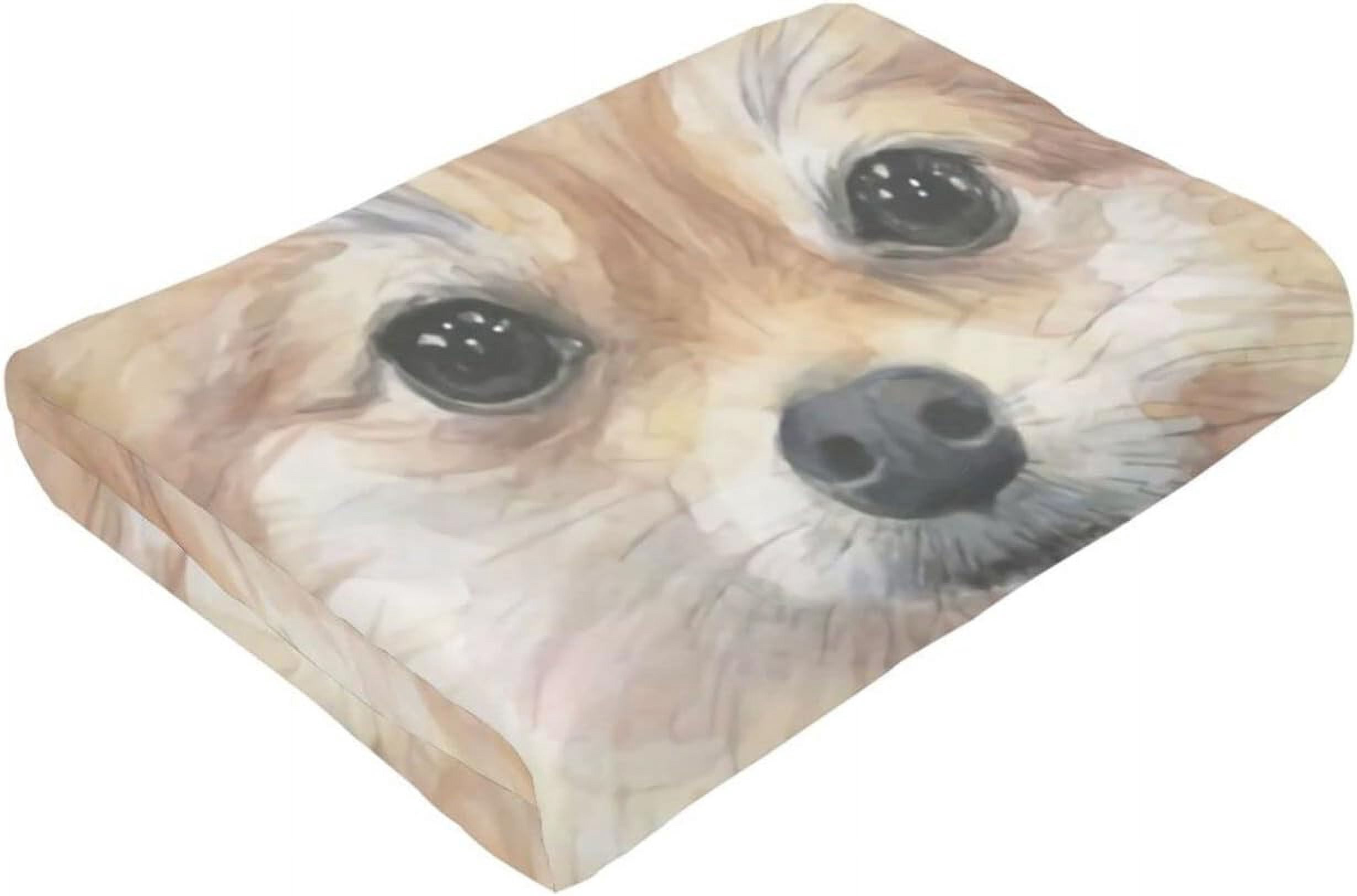 Newhomestyle 3D Flannel Plush Throw Blanket, 80"x60" Pomeranian Watercolor Pom Puppy Dog Cute Animal Painting, Super Cozy Air Conditioning Blanket