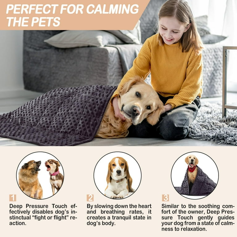 Pet weighted blanket hotsell