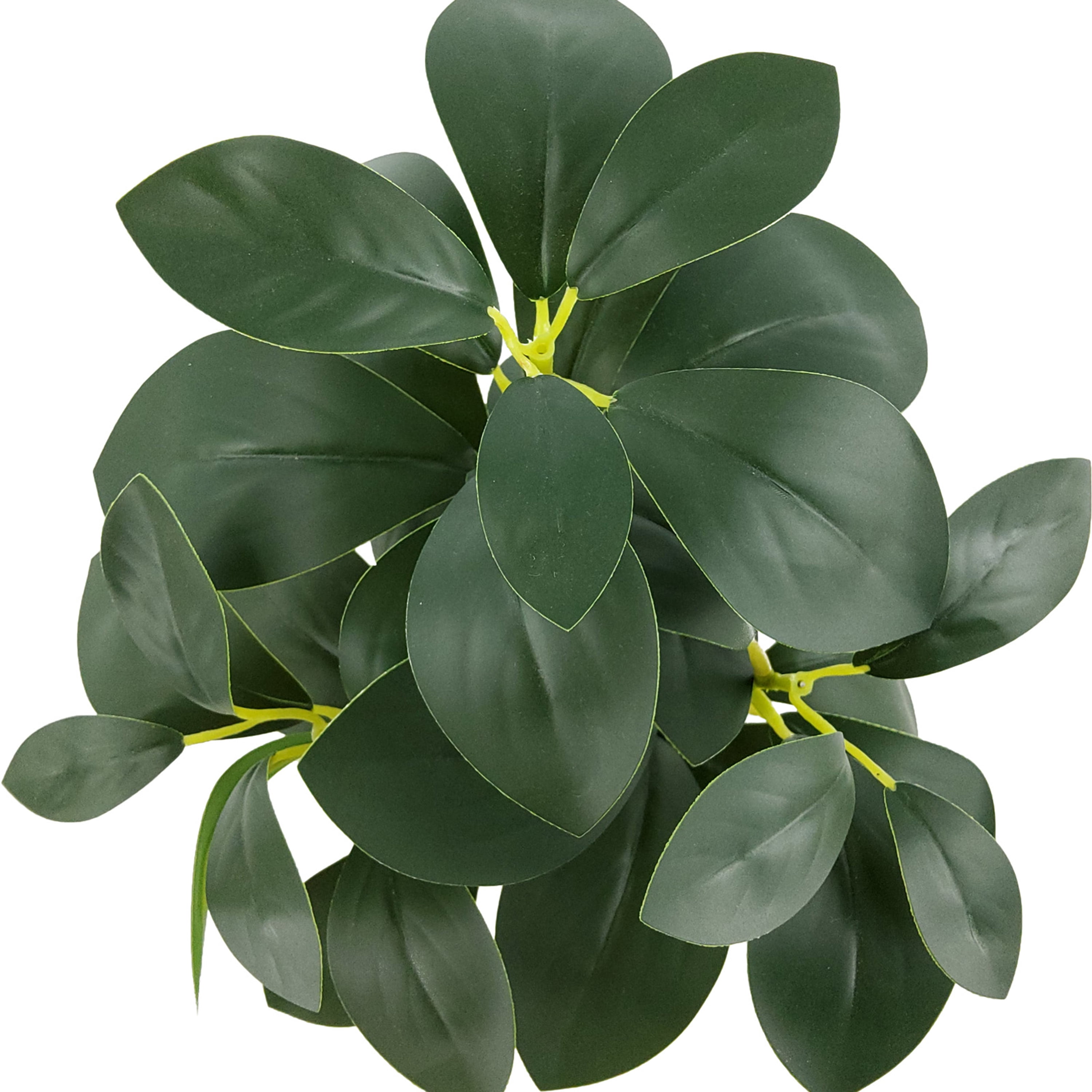 (4 pack) Mainstays Indoor Artificial Peperomia Plant in White Ceramic Pot, 11 in