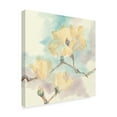 thumbnail image 2 of Trademark Fine Art 'Magnolias in White I' Canvas Art by Chris Paschke, 2 of 4