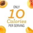 thumbnail image 4 of Skinnygirl Sugar Free Preserves, Kosher Apricot Mimosa, 10 Ounce, 4 of 5