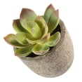 thumbnail image 3 of BESTYASH Planta Artificial Verde Para De Oficina Y Hogar Con Material Premium, 3 of 6
